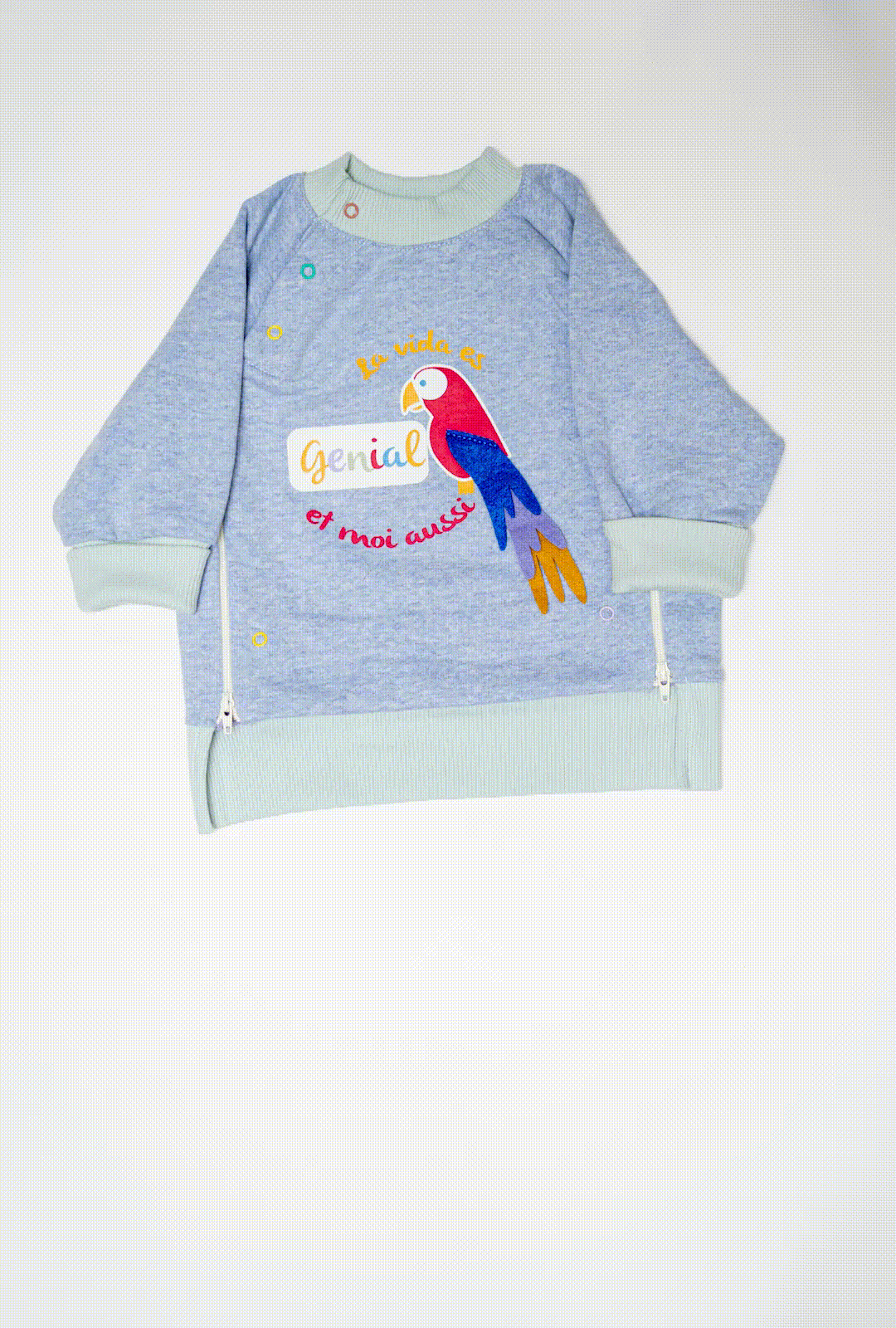 Pull_evolutif_pushi