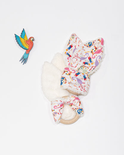 Anneau de dentition évolutif