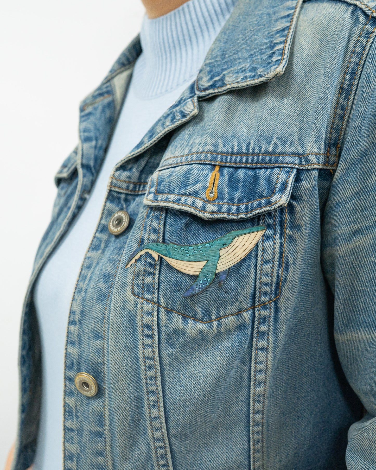 Pins Apushi – Animaux de la biodiversité latino-américaine